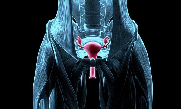 Symptômes principaux du cancer des ovaires