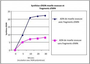 Synthèse d'ADN moelle osseuse et fragments d'ARN