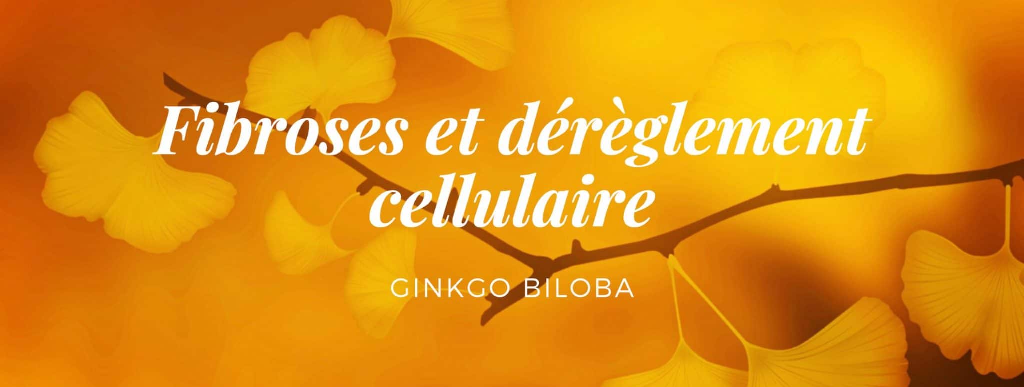 <img src=“image.jpg” alt=“ginkgo biloba ” title=“image tooltip”>