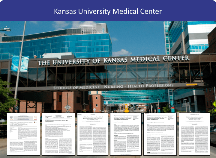 The Beljanski Foundation étend sa collaboration scientifique à Kansas University Medical Center avec des recherches sur le cancer du pancréas et des ovaires.